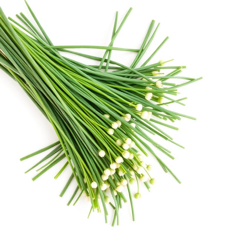 Bieslook — vers product van H2O Cultivax